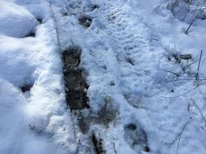 Pneumatici per fat bike 45NRTH (1)