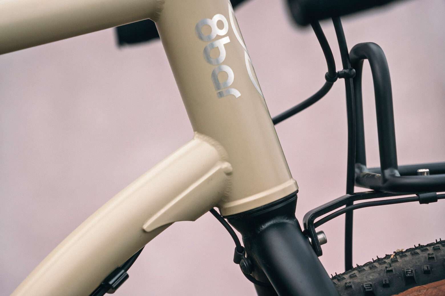 Bici da avventura per bikepacking economica Tflsberg Steel v2 da 8 bar, foto di Stefan Haehnel, tubo sterzo