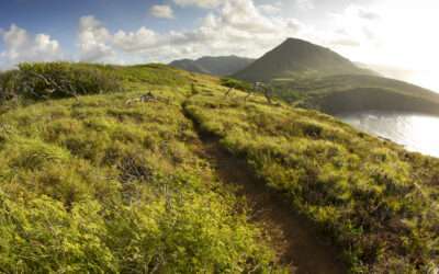 Il fondo Shimano Trail Born donerà 10 milioni di dollari per costruire nuovi sentieri!