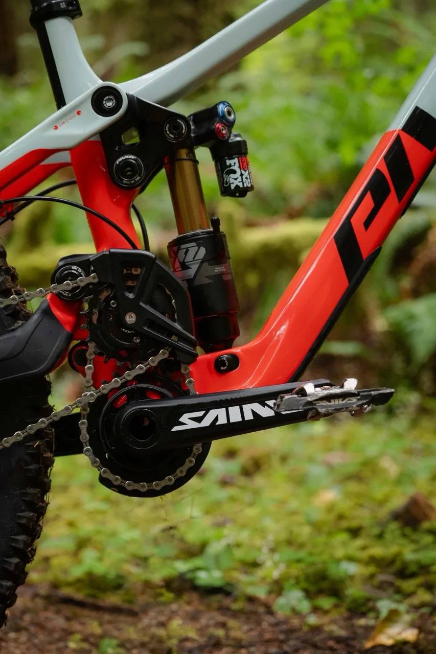Dettagli della bici Pivot Phoenix Downhill in natura