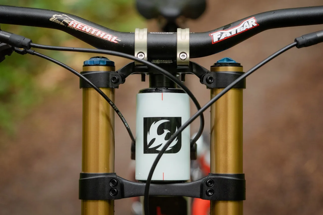 Dettagli della bici Pivot Phoenix Downhill in natura