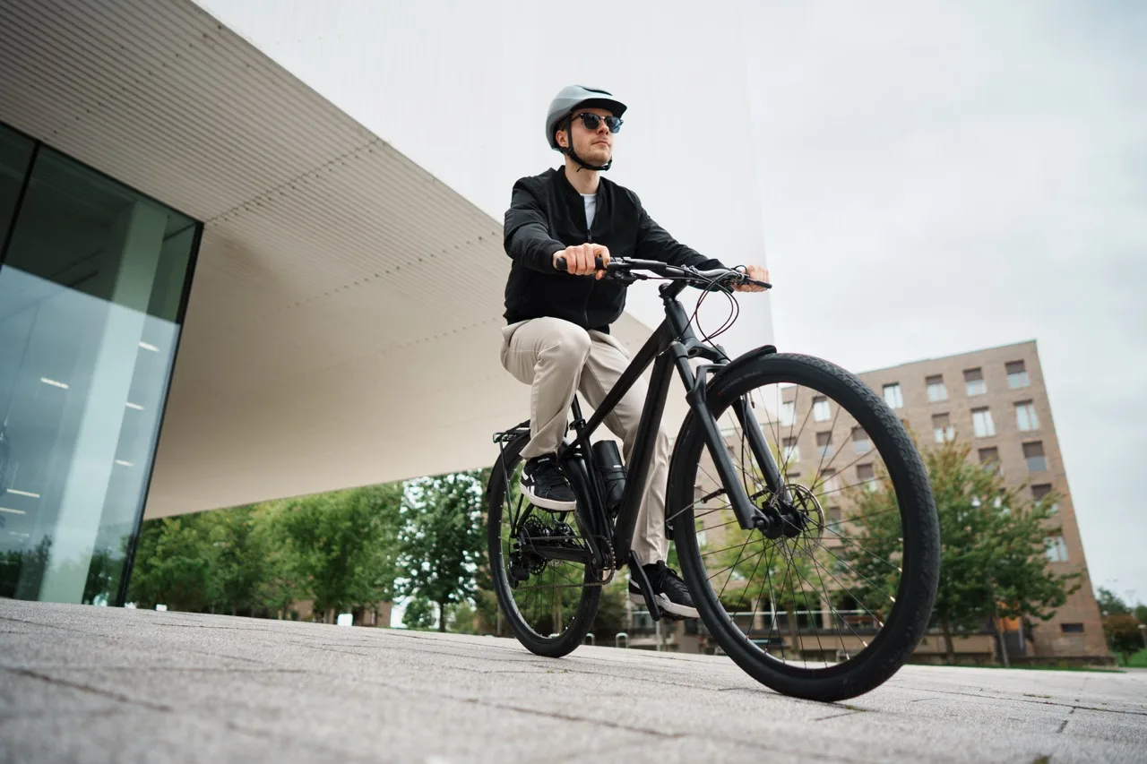 Amico pendolare del sistema Mahle XS